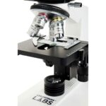 Celestron Celestron Labs - Microscopio compuesto de cabeza binocular - Aumento de 40-2000x - Etapa mecánica ajustable -