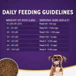 Alimento Seco para Perro Zignature Kangaroo Modelo 31327 Fórmula Canguro Ingredientes Limitados Sin Granos 25 Libras