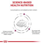 Alimento Seco para Perros Royal Canin Veterinary Diet Renal Support A 561317 17.6 Libras