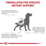 Alimento Seco para Perros Royal Canin Veterinary Diet Renal Support A 561317 17.6 Libras
