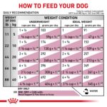 Alimento Seco Royal Canin Soporte Renal Canino S FBA_561517 Sabor Pollo 17.6 lb
