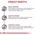 Alimento Seco Royal Canin Soporte Renal Canino S FBA_561517 Sabor Pollo 17.6 lb