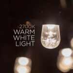 Cadena de Luces LED Enbrighten Modelo 31664 48 Pies 24 Bombillas Blanco Cálido Cable Negro para Interior y Exterior