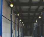 Cadena de luces Hang-A-Light ProBuilt 1111000 100 pies cable SJTW 14/2 10 bombillas LED 1500 lúmenes amarillo