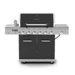 Parrilla de Gas Propano Nexgrill 720-0896B 6 Quemadores Quemador Lateral de Cerámica 60000 BTU Rejillas de Hierro Fundid
