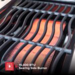 Parrilla de Gas Propano Nexgrill 720-0896B 6 Quemadores Quemador Lateral de Cerámica 60000 BTU Rejillas de Hierro Fundid