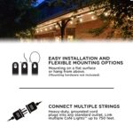 Guirnalda de Luces LED Enbrighten 35631 Estilo Café Vintage 24 Bombillas 48 Pies