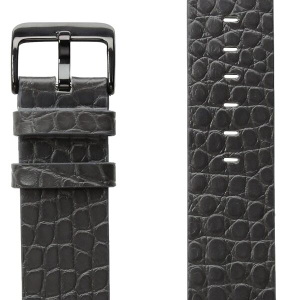 Correa Hadley-Roma AP1000UI 38A Cuero Cocodrilo Gris 38mm para Apple Watch