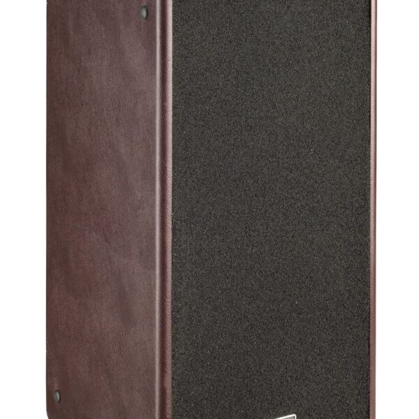 Laney Serie A A-DUO Instrumento Acústico Combo 120W 2 X 8 Pulgadas Woofers Coaxiales