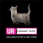 Alimento Seco para Gatos Purina Pro Plan Veterinary Diets UR Urinary St Ox Bolsa 16 libras