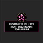Alimento Seco para Gatos Purina Pro Plan Veterinary Diets UR Urinary St Ox Bolsa 16 libras