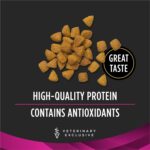 Alimento Seco para Gatos Purina Pro Plan Veterinary Diets UR Urinary St Ox Bolsa 16 libras