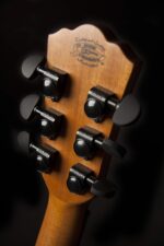Washburn Guitarra acústica-eléctrica de 6 cuerdas, natural (WCG66SCE-O)