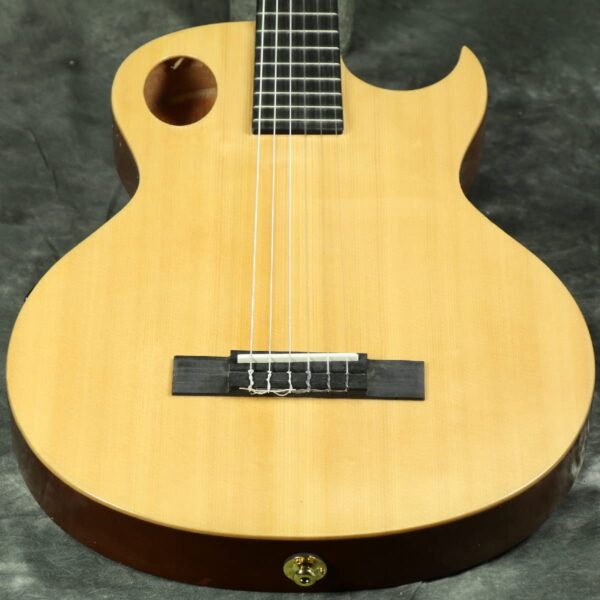 Washburn Festival EACT42S - Guitarra eléctrica acústica clásica de cuerda de nailon (EACT42S-A)