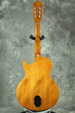 Washburn Festival EACT42S - Guitarra eléctrica acústica clásica de cuerda de nailon (EACT42S-A)
