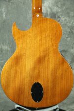 Washburn Festival EACT42S - Guitarra eléctrica acústica clásica de cuerda de nailon (EACT42S-A)