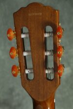 Washburn Festival EACT42S - Guitarra eléctrica acústica clásica de cuerda de nailon (EACT42S-A)