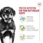 Alimento Seco para Cachorros Royal Canin Rottweiler Breed Health Nutrition Bolsa 30 Libras