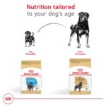 Alimento Seco para Cachorros Royal Canin Rottweiler Breed Health Nutrition Bolsa 30 Libras