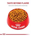 Alimento Seco para Cachorros Royal Canin Rottweiler Breed Health Nutrition Bolsa 30 Libras