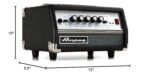 Ampeg Cabeza MICRO VR