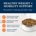 Alimento Seco para Perros Blue Buffalo Natural Veterinary Diet W+M Control de Peso y Movilidad Salmón Bolsa 22 Libras