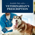 Alimento Seco para Perros Blue Buffalo Natural Veterinary Diet W+M Control de Peso y Movilidad Salmón Bolsa 22 Libras