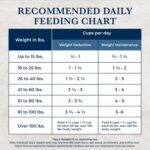 Alimento Seco para Perros Blue Buffalo Natural Veterinary Diet W+M Control de Peso y Movilidad Salmón Bolsa 22 Libras