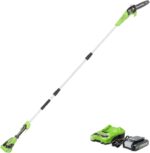 Sierra de Poste Inalámbrica Greenworks PS24B210 24V Barra y Cadena de 8 Pulgadas con Batería 2.0 Ah y Cargador Incluidos