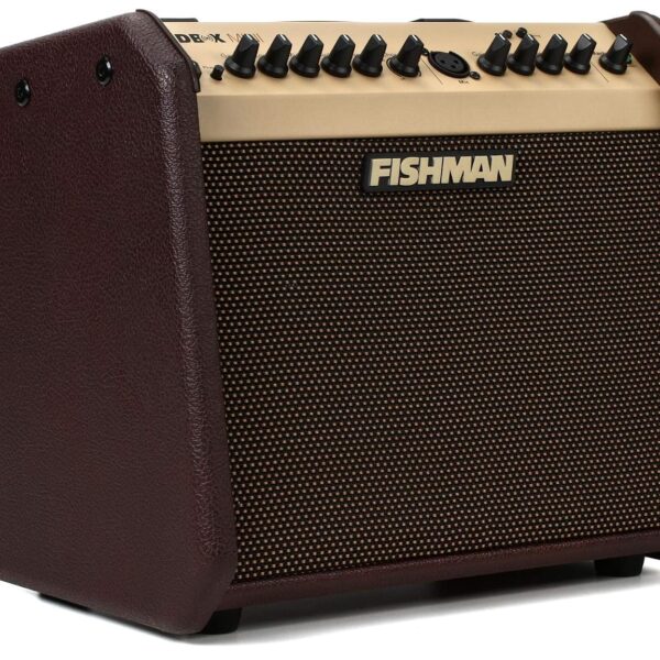 Fishman Loudbox Mini BT - Combo acústico (60 W, 1 x 6.5 pulgadas)