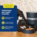 Alimentador para mascotas PetSafe Smart Feed PFD00-16828 Automático con App Compatible con Alexa iOS y Android Capacidad