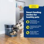 Alimentador para mascotas PetSafe Smart Feed PFD00-16828 Automático con App Compatible con Alexa iOS y Android Capacidad