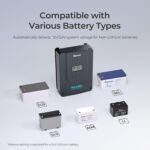 Renogy Controlador de carga solar 60A 12V24V36V48V DC Parámetro automático MPPT Controladores de carga para paneles sola