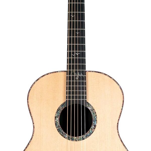 Washburn Bella Tono Elegante S24S Guitarra Acústica (BTS24S-D)