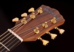 Washburn Bella Tono Elegante S24S Guitarra Acústica (BTS24S-D)