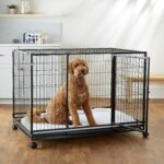 Perrera Portátil Apilable para Perros Amazon Basics 9002-48 con Bandeja Extraíble Negro 48.2 x 37.8 x 42.5 Pulgadas