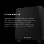 ADAM Audio T10S Subwoofer de estudio para grabación, mezcla y masterización, sonido de calidad de estudio (Individual)