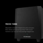 ADAM Audio T10S Subwoofer de estudio para grabación, mezcla y masterización, sonido de calidad de estudio (Individual)