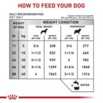 Alimento Húmedo Royal Canin Veterinary Diet Canine Weight Control para Perros Adultos Esterilizados Sabor Pollo Lata 13.