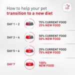 Alimento Húmedo Royal Canin Veterinary Diet Glycobalance para Perros Adultos Sabor Cerdo Forma Gel Paquete de 24 Latas d