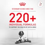 Alimento Húmedo Royal Canin Veterinary Diet Glycobalance para Perros Adultos Sabor Cerdo Forma Gel Paquete de 24 Latas d