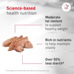Alimento Húmedo Royal Canin Veterinary Diet Glycobalance para Perros Adultos Sabor Cerdo Forma Gel Paquete de 24 Latas d