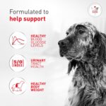 Alimento Húmedo Royal Canin Veterinary Diet Glycobalance para Perros Adultos Sabor Cerdo Forma Gel Paquete de 24 Latas d