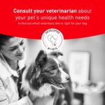 Alimento Húmedo Royal Canin Veterinary Diet Glycobalance para Perros Adultos Sabor Cerdo Forma Gel Paquete de 24 Latas d