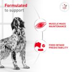 Alimento Húmedo Royal Canin Veterinary Diet Glycobalance para Perros Adultos Sabor Cerdo Forma Gel Paquete de 24 Latas d