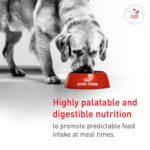 Alimento Húmedo Royal Canin Veterinary Diet Glycobalance para Perros Adultos Sabor Cerdo Forma Gel Paquete de 24 Latas d