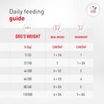 Alimento Húmedo Royal Canin Veterinary Diet Glycobalance para Perros Adultos Sabor Cerdo Forma Gel Paquete de 24 Latas d