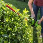 Cortasetos Inalámbrico Greenworks HTG302 24V 22 pulgadas Cuchillas Cortadas con Láser Batería 4.0 Ah y Cargador Incluido