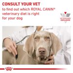 Alimento Húmedo para Perros Royal Canin Veterinary Diet Urinary SO Moderate Calorie Modelo 47723 Sabor Pollo Paté 12.5 o