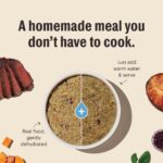 Alimento Deshidratado The Honest Kitchen Wholemade Grano Integral Carne de Res y Salmón Caja 10 lb